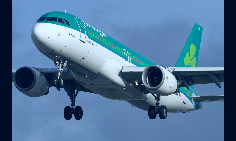 Aer Lingus: New York-Dublin flight in U-turn after technical issue - BBC  News