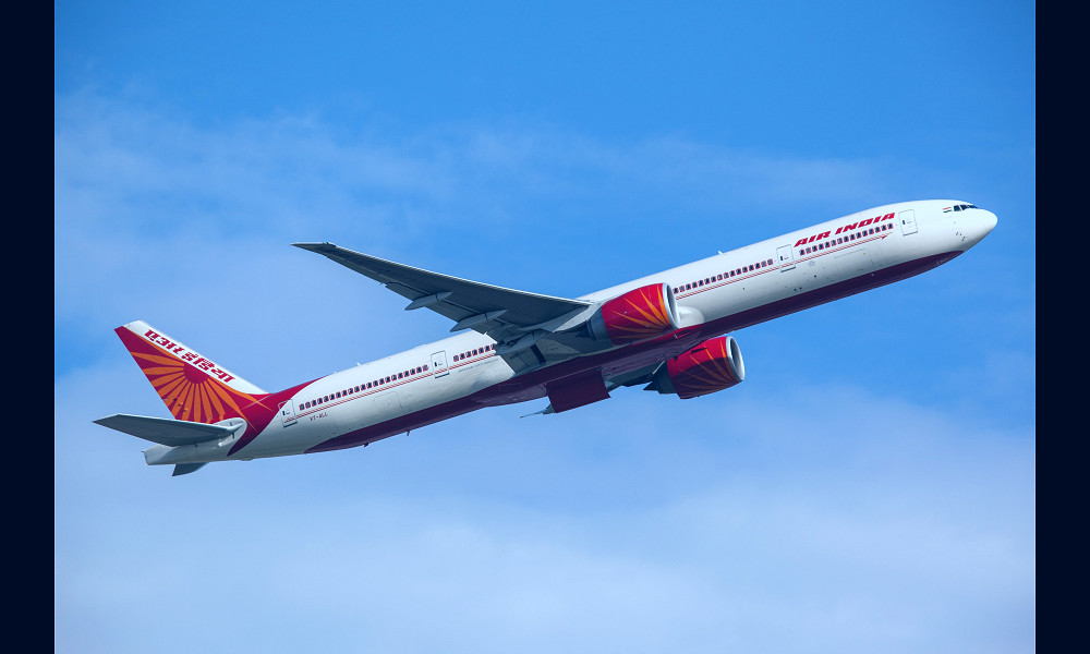 Air India flight returns to Delhi after bat discovered in business class |  The Independent