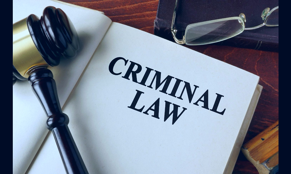 The Relevance of Criminal Lawyers - ELMENS