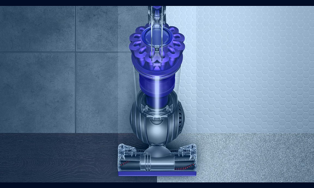 Dyson Ball Animal 2 vacuum review: Is it worth the money?