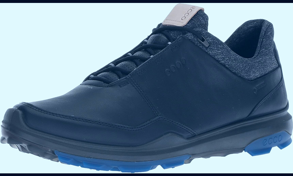 Amazon.com | ECCO Men's Biom Hybrid 3 Gore-Tex Golf Shoe, Black/Bermuda  Blue Yak Leather, 39 M EU (5-5.5 US) | Golf