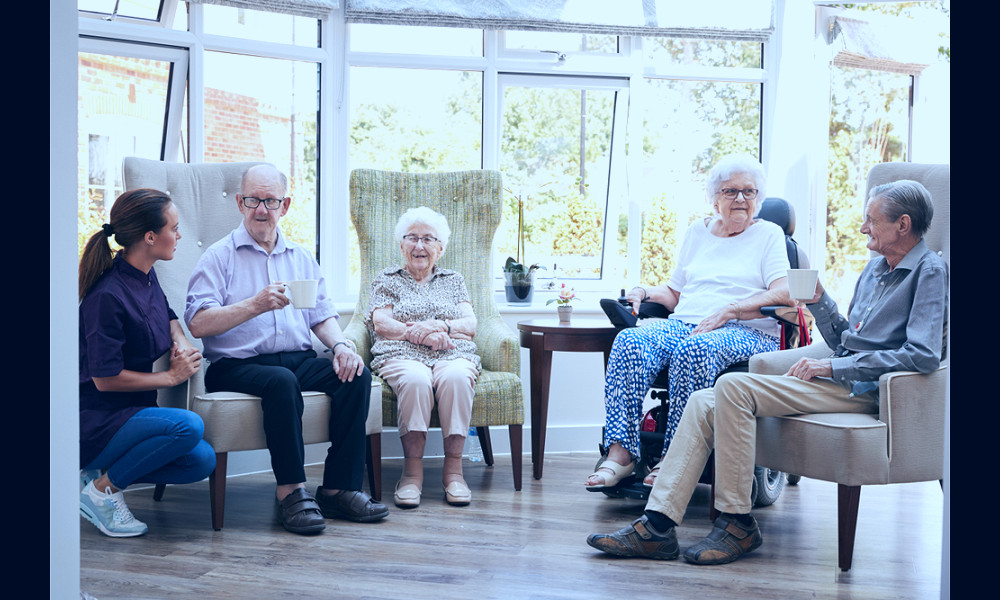 Senior Living: The Difference Between Nursing Homes and Assisted Living  Facilities - AmeriDisability