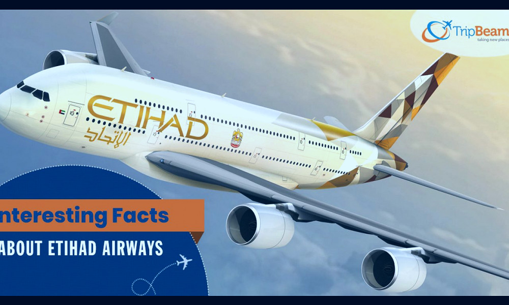 Etihad Airways – 21 Must-Know Facts about It- Tripbeam.com