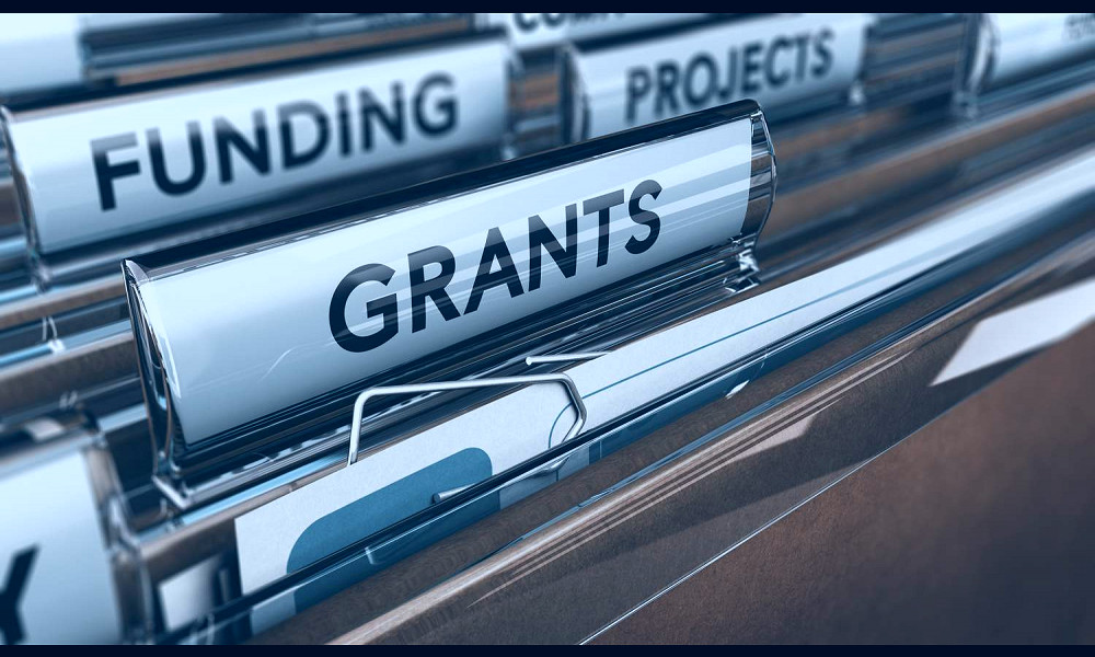 How a Government Grant Works, How to Apply, With an Example