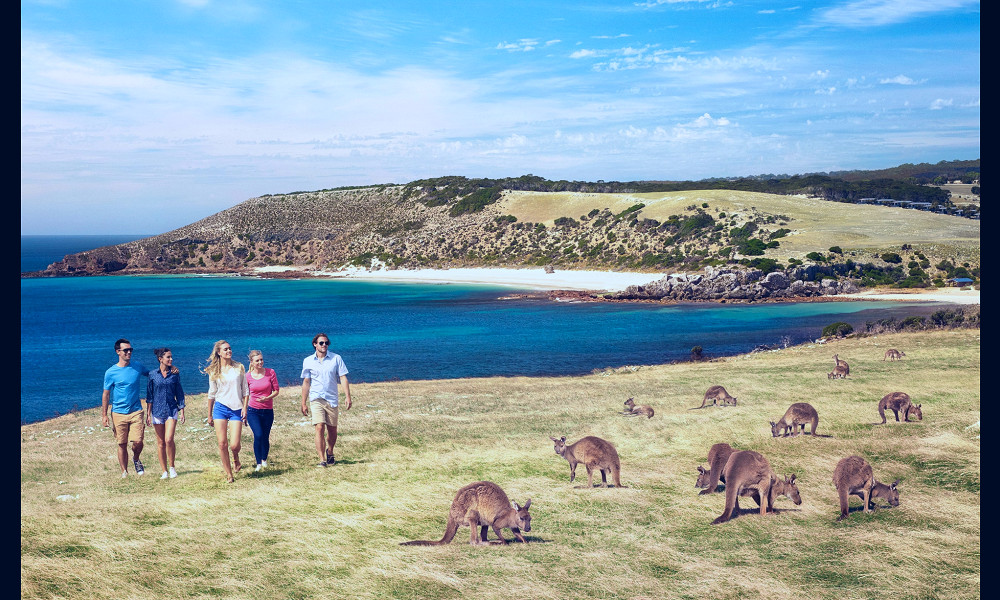 Kangaroo Island, Australia's answer to the Galapágos