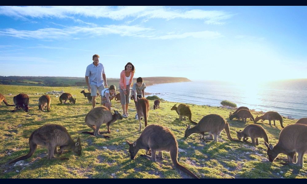 The Traveling Islanders Guide To Kangaroo Island - Traveling Islanders