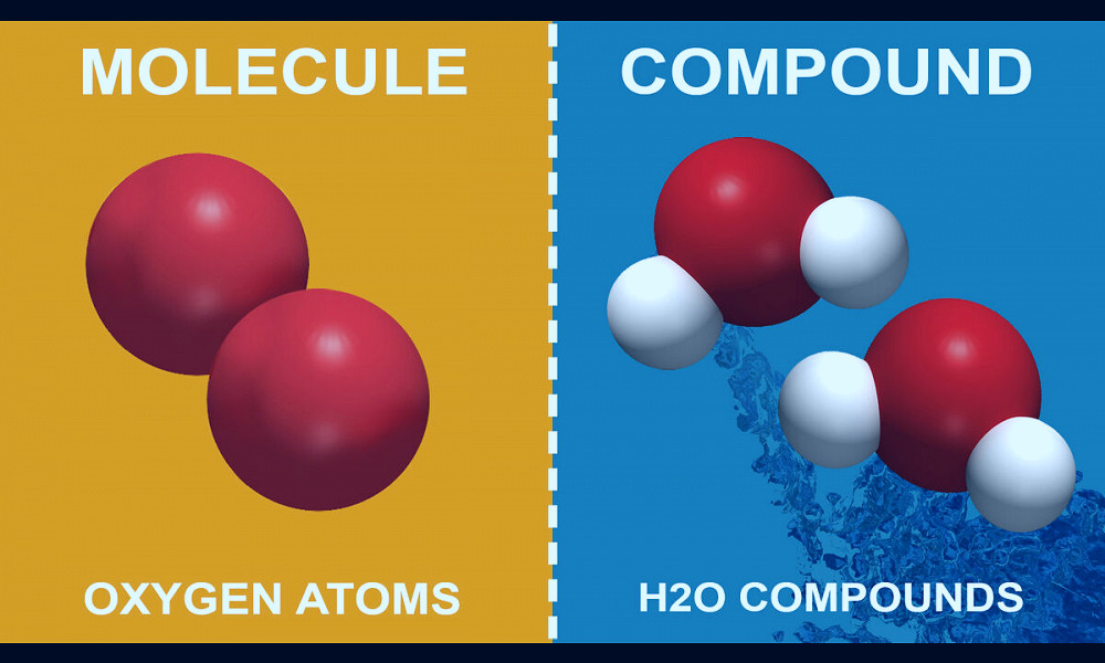 Difference Between a Molecule and Compound Made Simple | YourDictionary