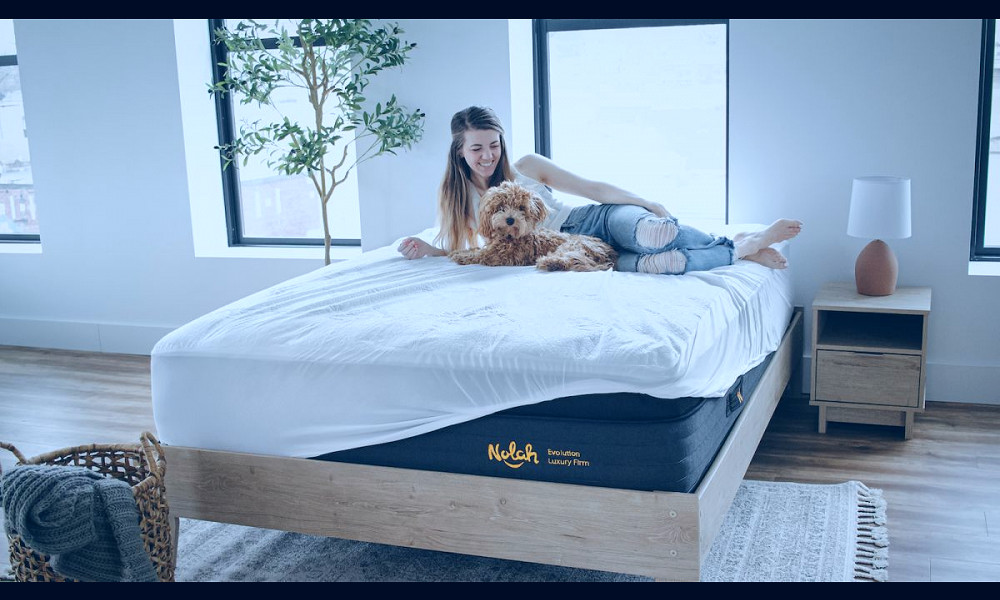 The best Nolah mattress sales and discounts in July 2023: save up to $959 |  TechRadar