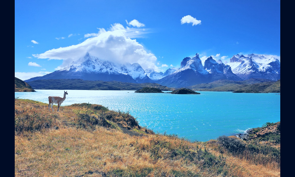 Patagonia Regions Guide: Where Should You Go? – Bearfoot Theory