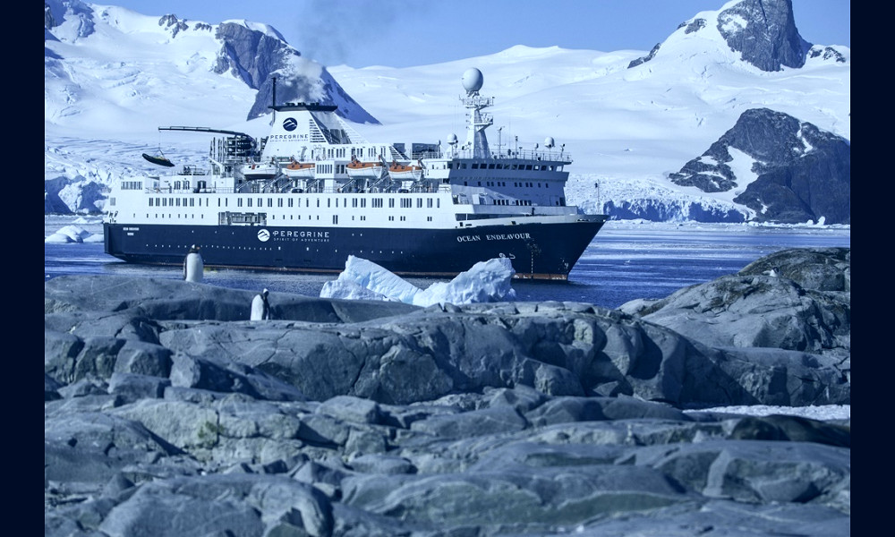 Peregrine Adventures to Charter Ocean Endeavor for Antarctica Program -  Cruise Industry News | Cruise News