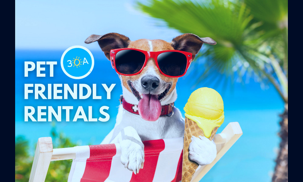 Pet-Friendly Vacation Rental Homes Along Florida's Scenic 30A - 30A