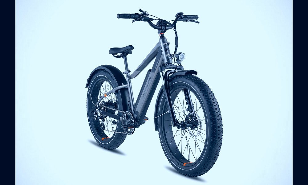 Rad Power Bikes reveals more user-friendly next-gen e-bike RadRover 6 Plus  for $1,999 | TechCrunch