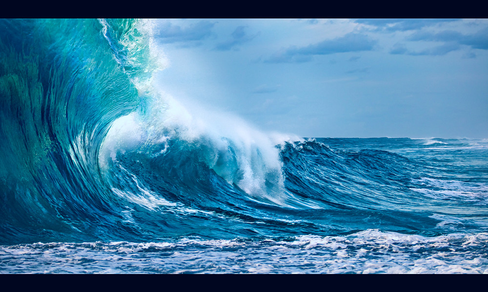 What is the future of wave energy?