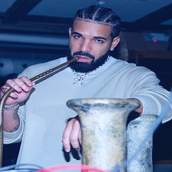 Drake | Drake Wiki | Fandom