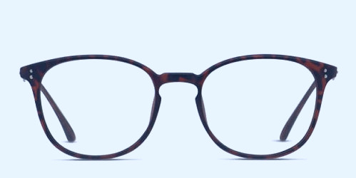 Weston Tortoise Prescription eyeglasses