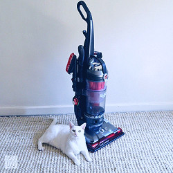 Hoover WindTunnel 3 Pet Vacuum Review: Tough on Fur, Has Issues