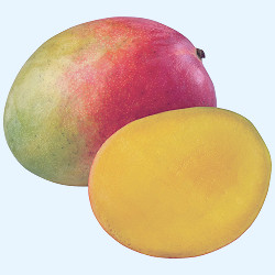 Fresh Large Mango - Shop Specialty & Tropical at H-E-B