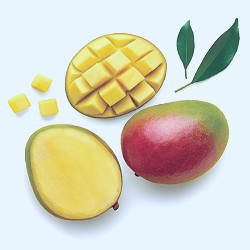 Fresh Take: Mango - What's Up? Media