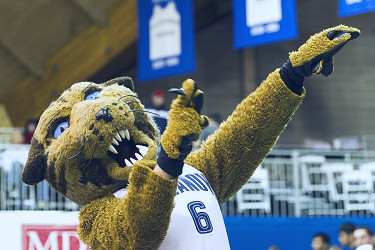 Wildcats are the 4th most common Division I mascot - VU Hoops