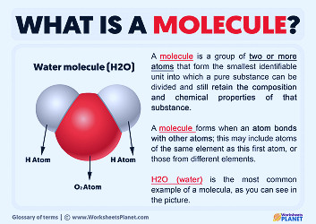 What is a Molecule | Meaning & Definition