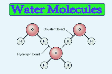What is a molecule's easy definition? || What are examples of molecules? –  Chemistry Page