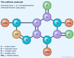 Molecule | Definition, Examples, Structures, & Facts | Britannica