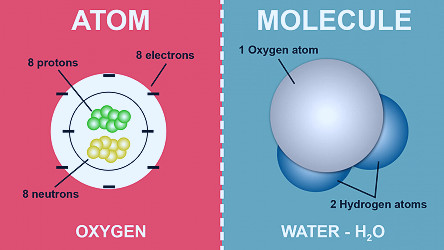 Basic Difference Between an Atom and a Molecule | YourDictionary