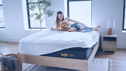 The best Nolah mattress sales and discounts in July 2023: save up to $959 |  TechRadar