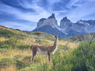 Where to stay in Patagonia | The Australian