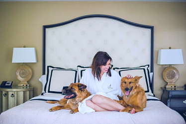 The Most Pet-Friendly Hotel in Every Southern State