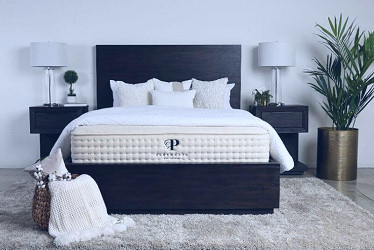 PlushBeds Botanical Bliss Mattress Review (Updated 2023)