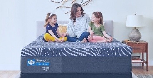 Shop Sealy Mattresses, Supportive & Comfortable | Free Shipping | Sealy