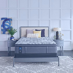 Amazon.com: Sealy Posturepedic Plus, Euro Pillow Top 14-Inch Plush Soft  Mattress with AllergenProtect, Queen : Home & Kitchen
