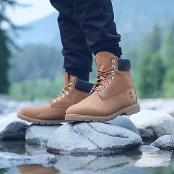 Timberland Men's Classic 6 inch Boots | Academy