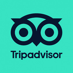 Tripadvisor: Plan & Book Trips - Apps on Google Play
