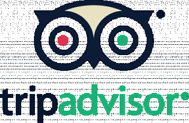 tripadvisor Logo PNG Vector (AI) Free Download