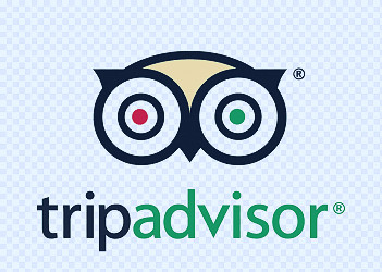 Tripadvisor Logo png images | PNGWing