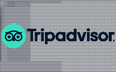 TripAdvisor Logo and symbol, meaning, history, PNG, brand