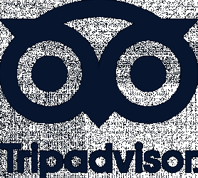 Tripadvisor Logo PNG Vector (SVG) Free Download