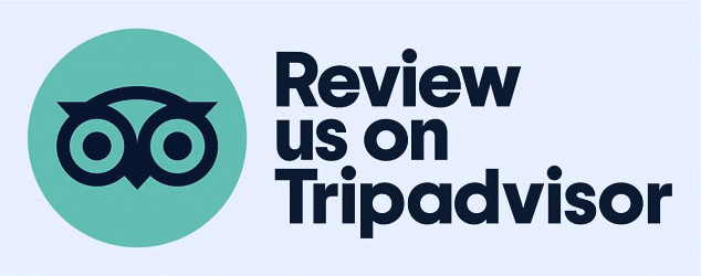 TripAdvisor for Businesses: The Complete Guide | ReviewTrackers