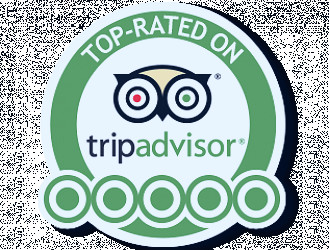 TripAdvisor: Still Flying High on its Journey to Instant Bookings - Digital  Innovation and Transformation