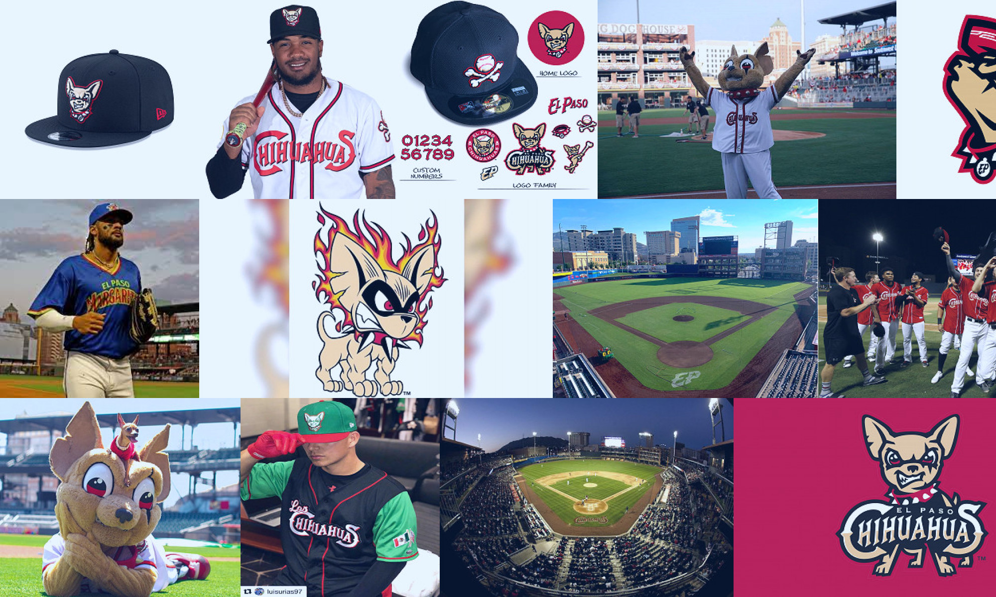 el paso chihuahuas