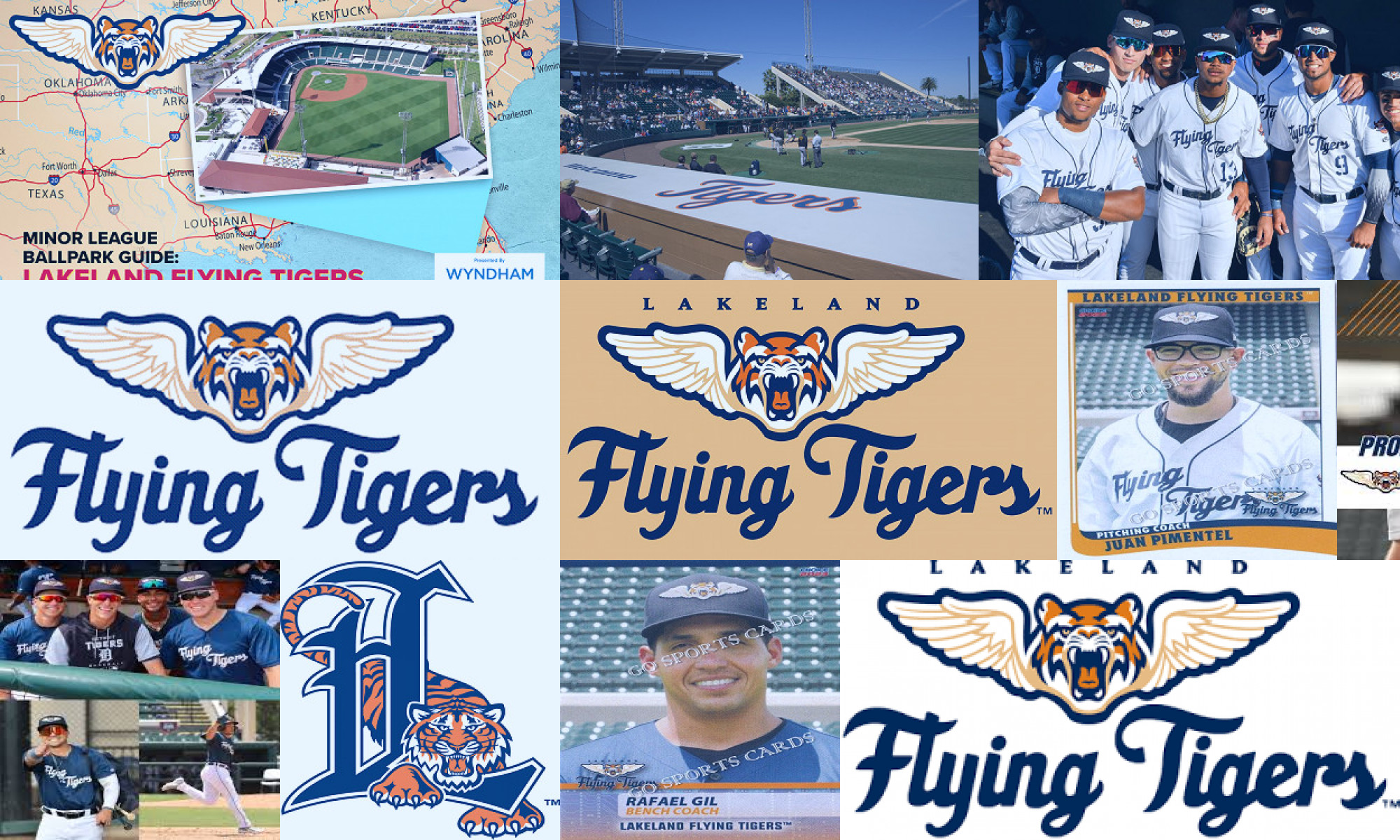 lakeland flying tigers