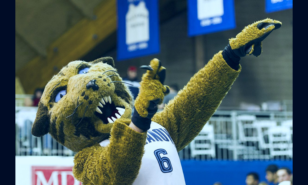 Wildcats are the 4th most common Division I mascot - VU Hoops