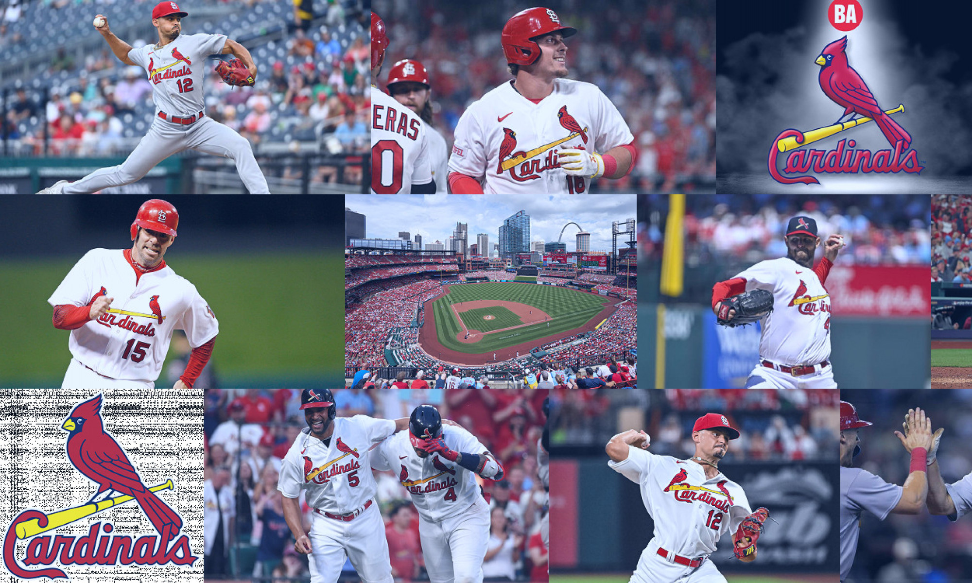 st. louis cardinals