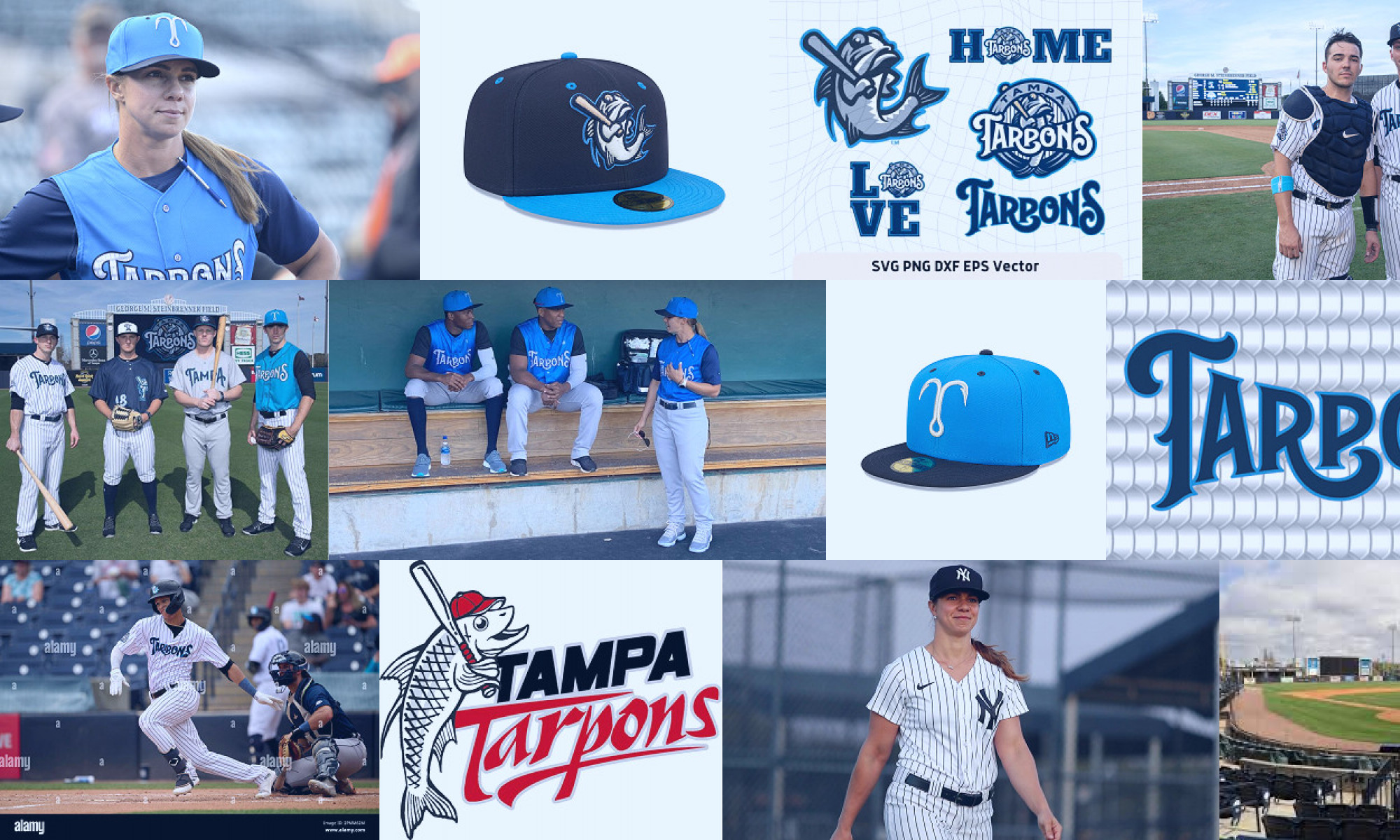 tampa tarpons