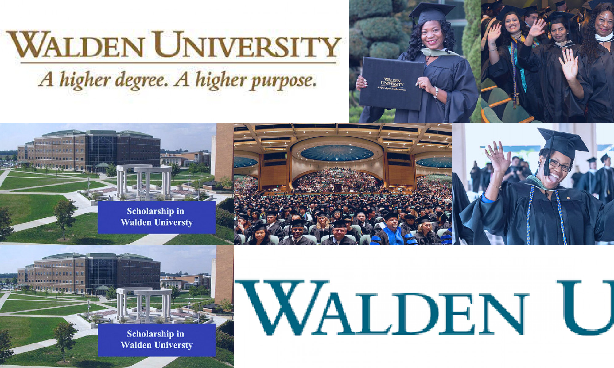 walden university