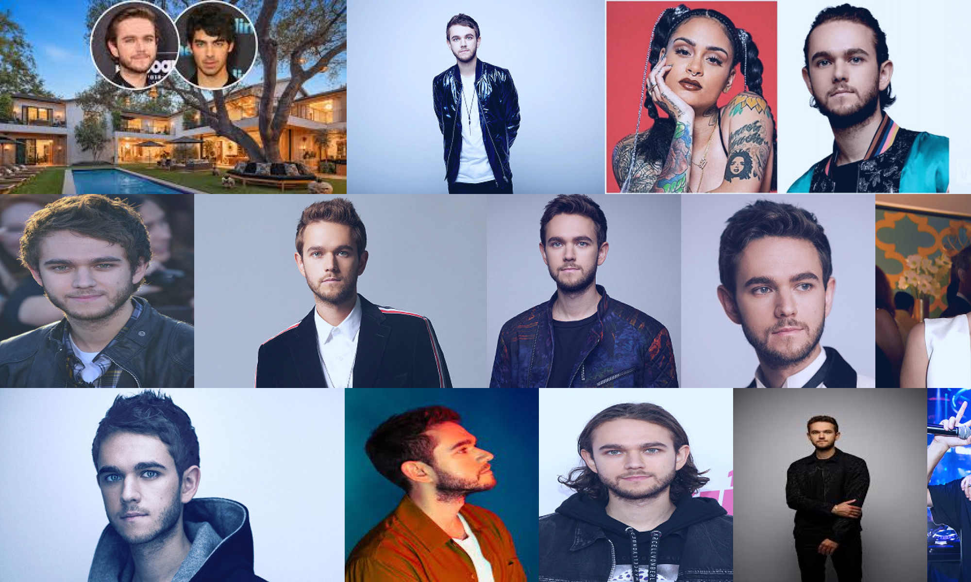 zedd