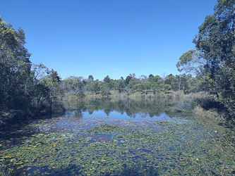 Billabong - Wikipedia