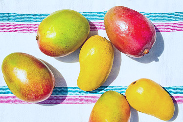 It's Mango Time. | Saveur